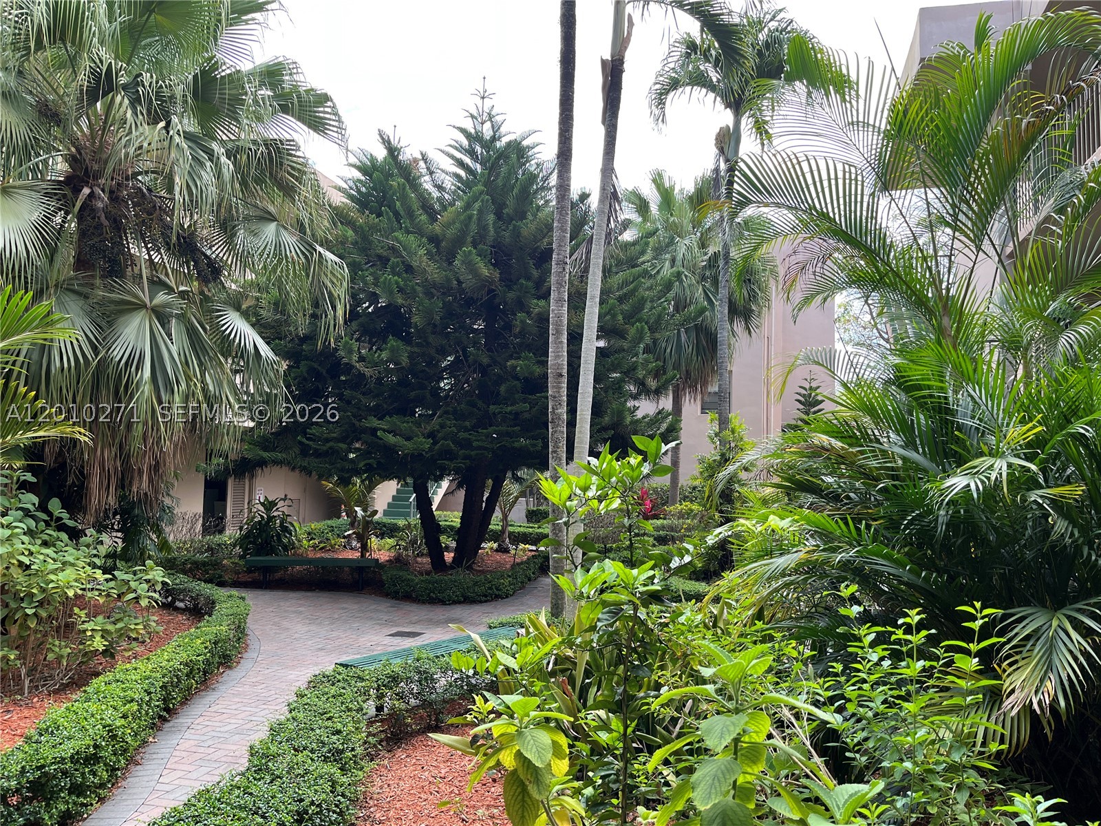 Miami photo 3