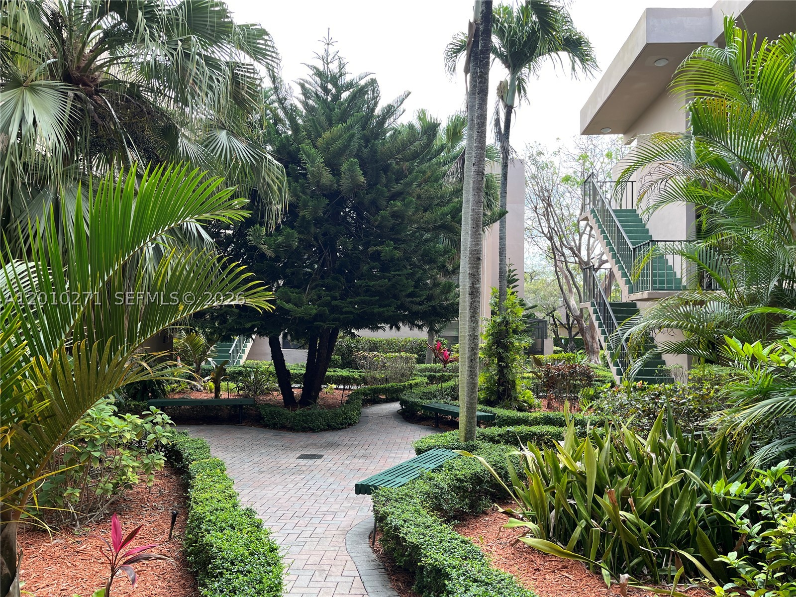 Miami photo 4