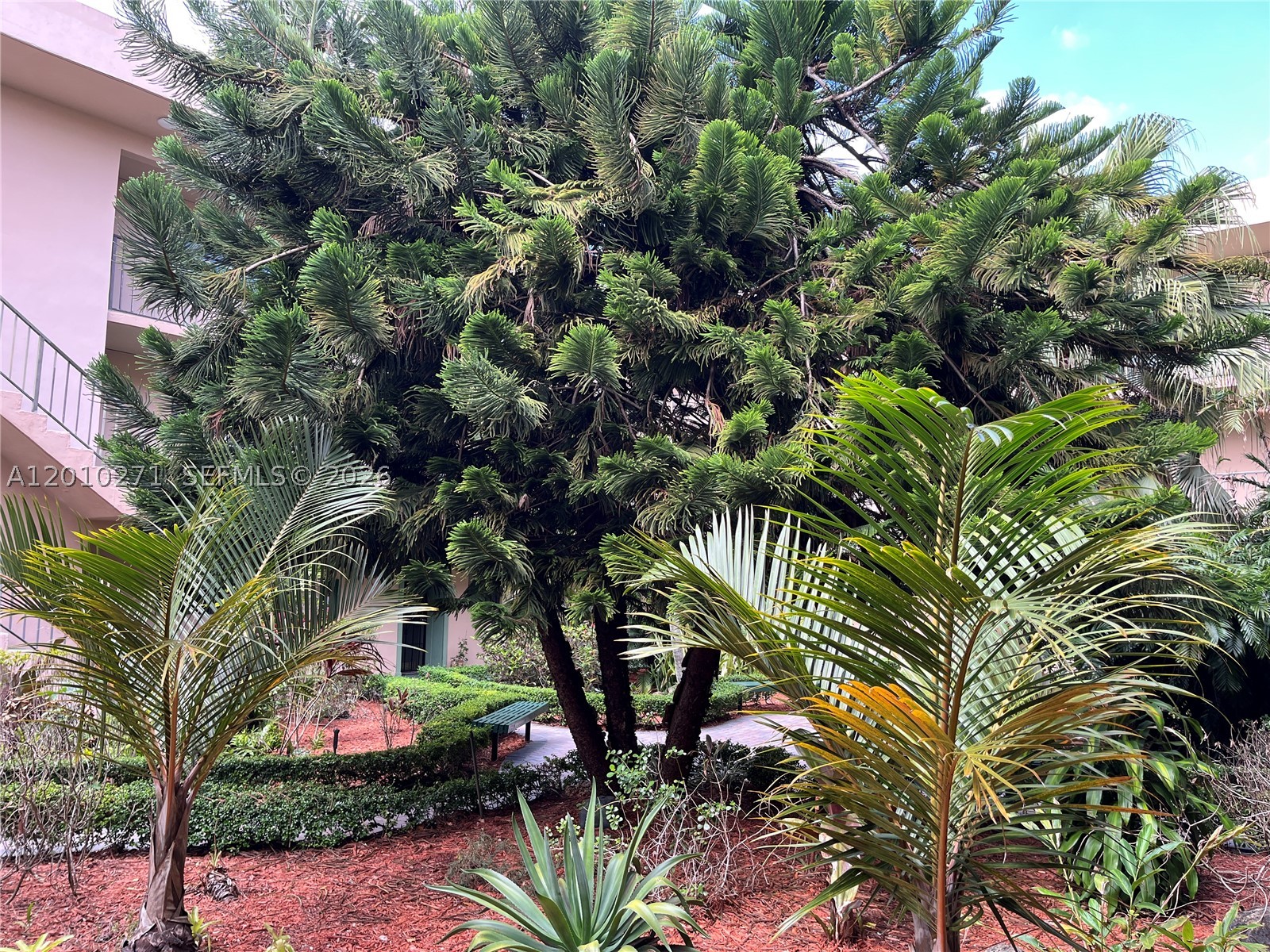 Miami photo 5