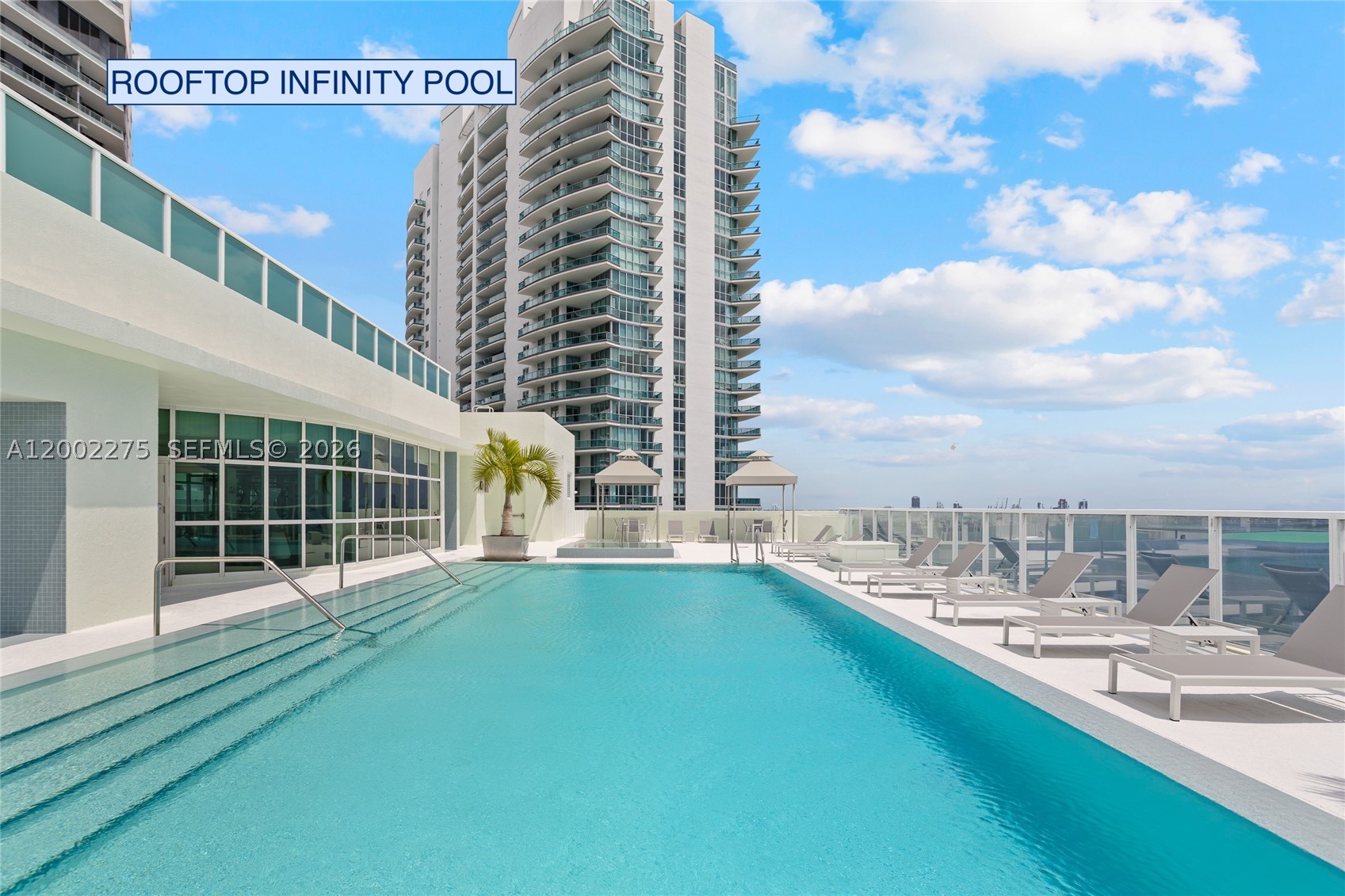 Miami photo 5