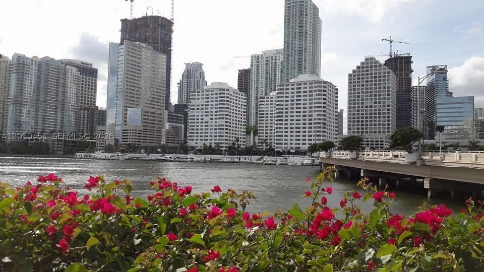 Miami photo 2