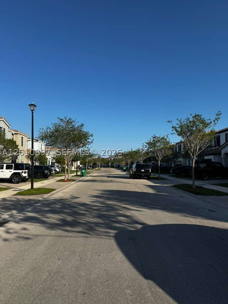 Miami photo 3