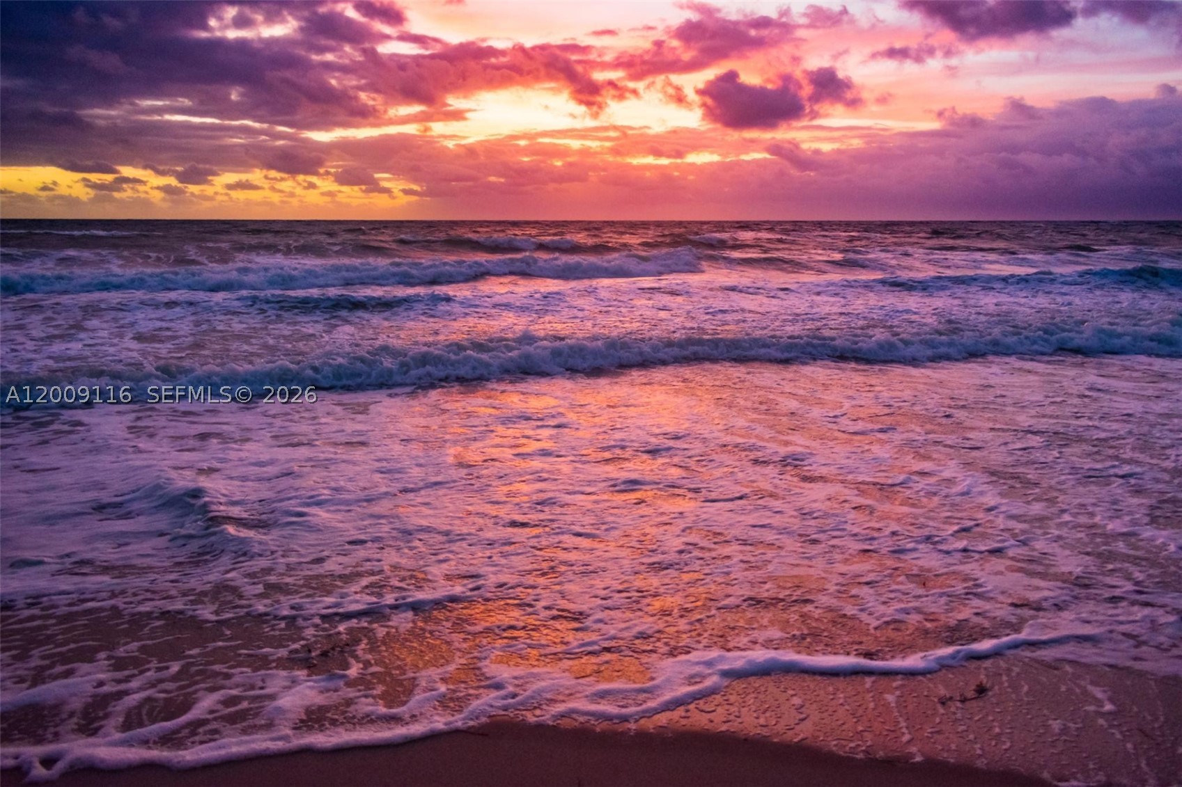 Golden Beach photo 3