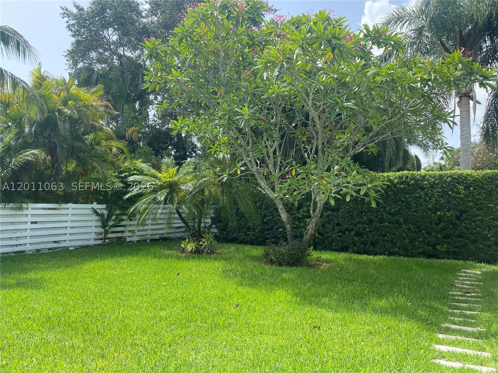 Miami photo 3