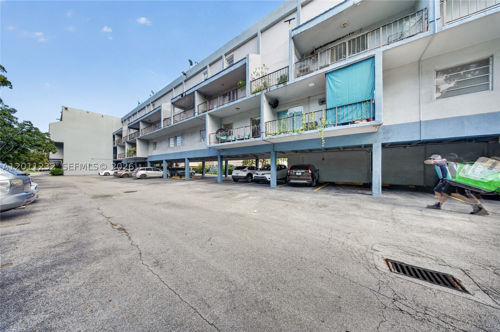 Miami photo 5