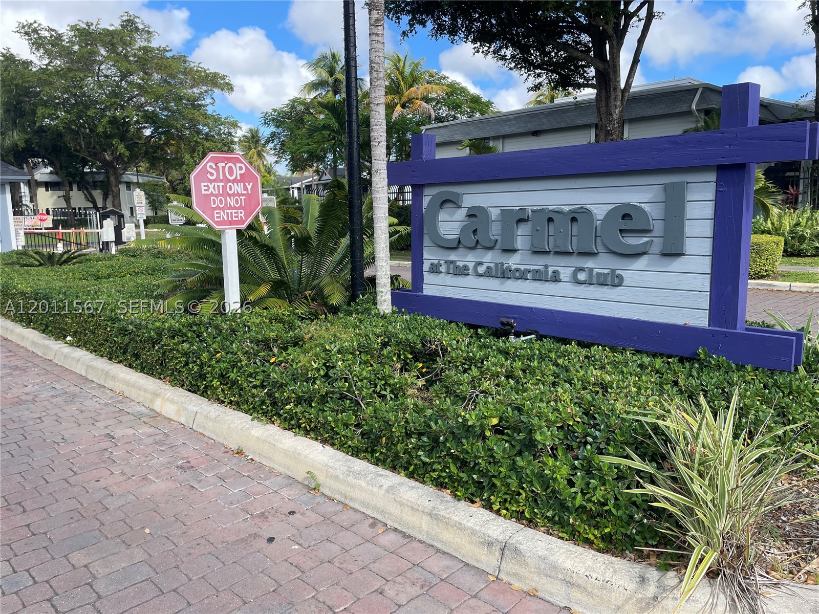 Miami photo 1