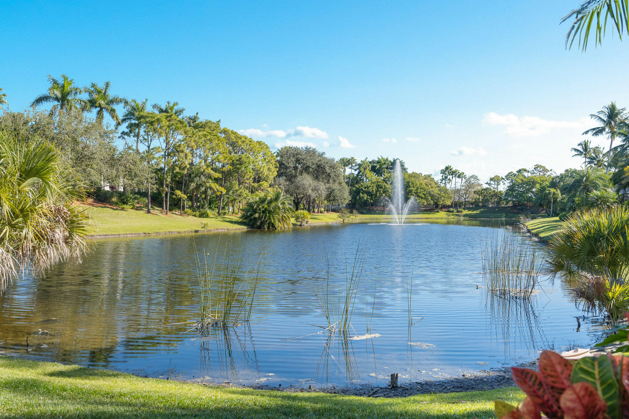 Boca Raton photo 2