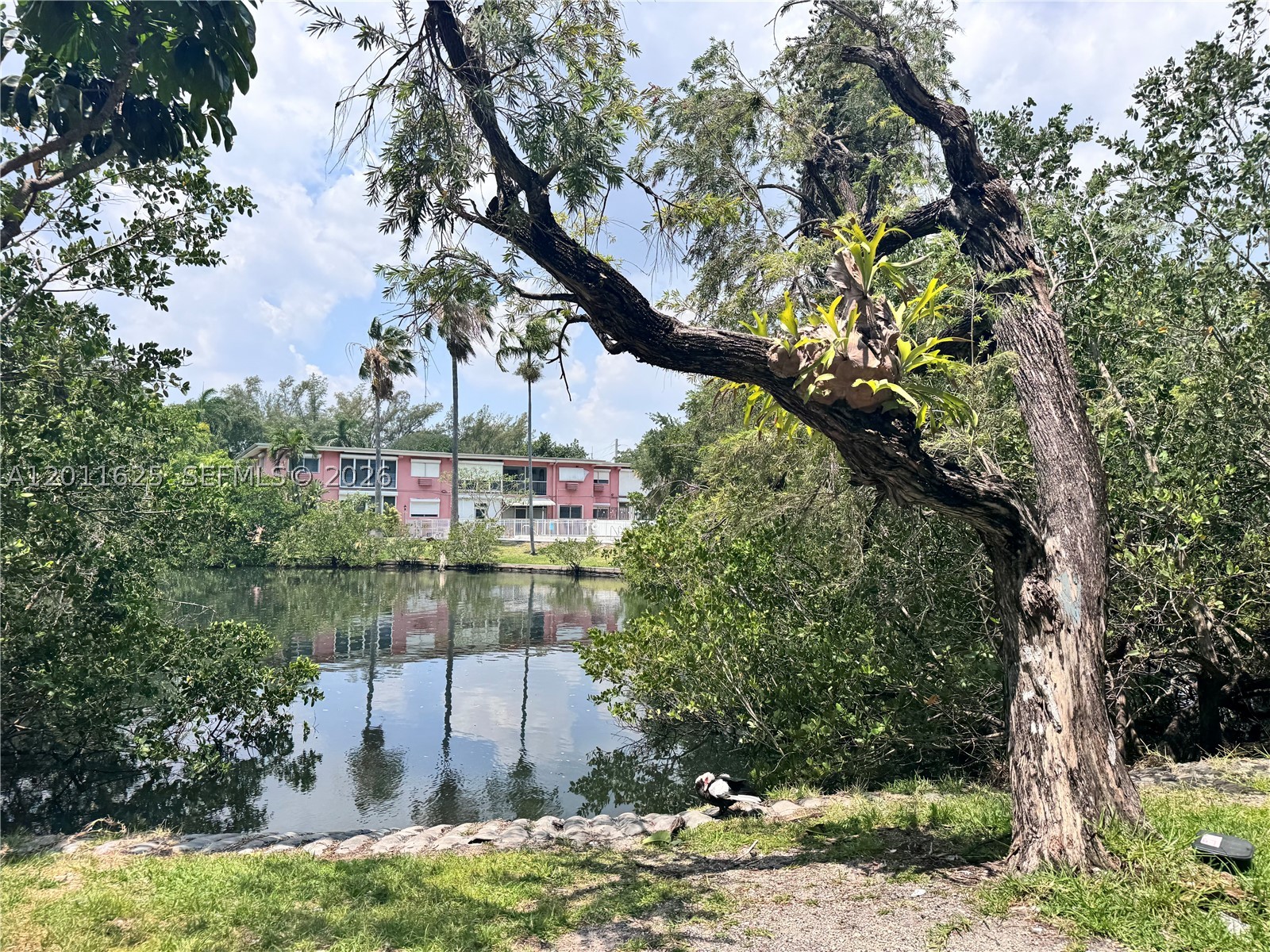 North Miami photo 1