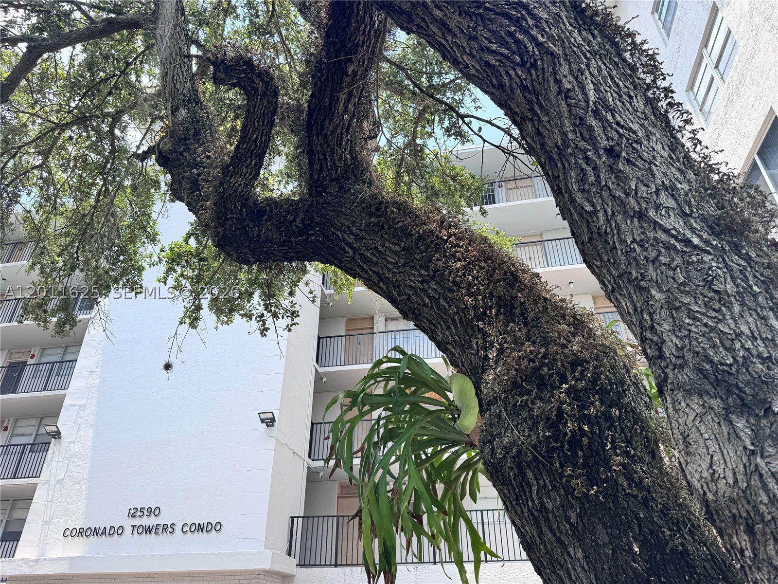 North Miami photo 2
