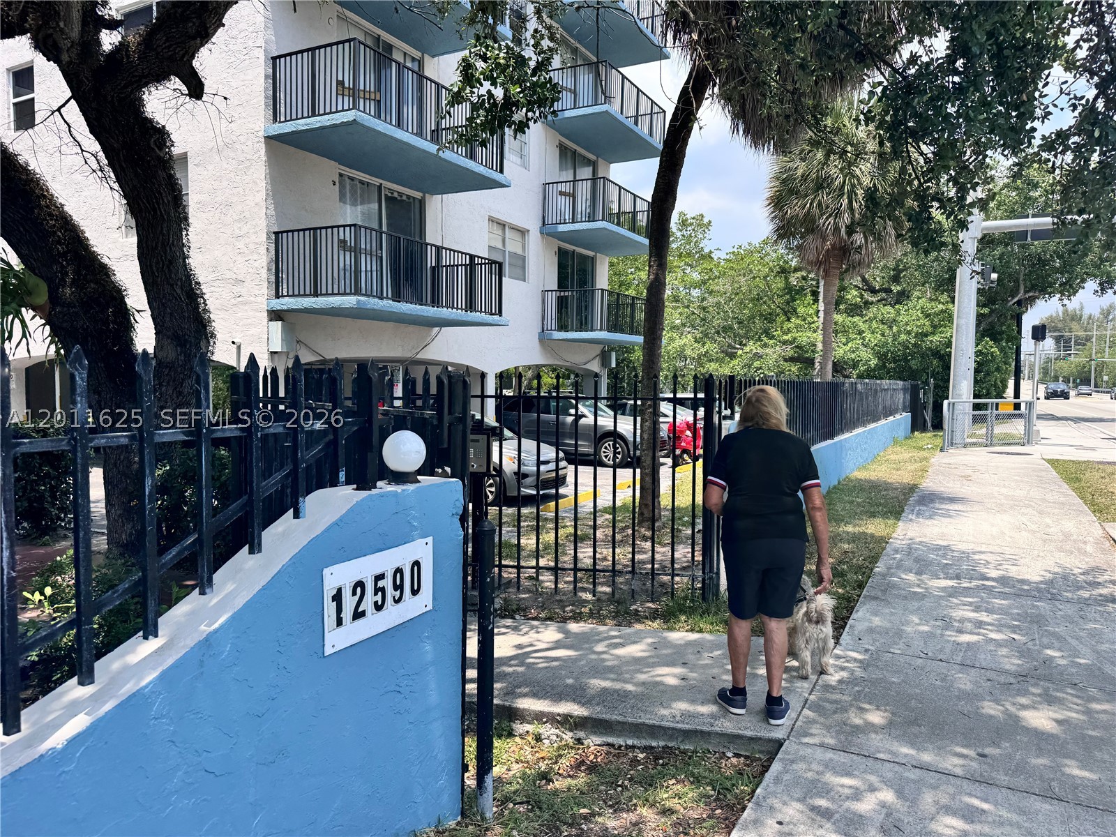 North Miami photo 3