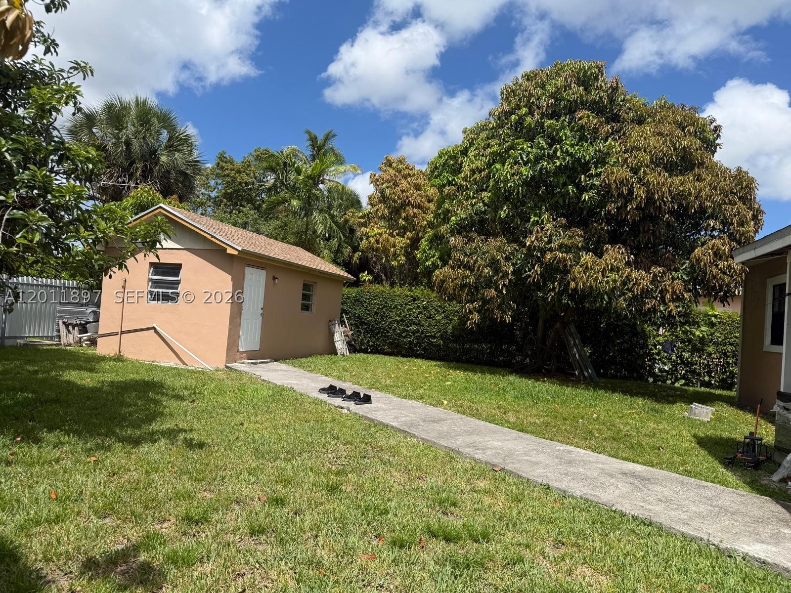 Miami photo 5