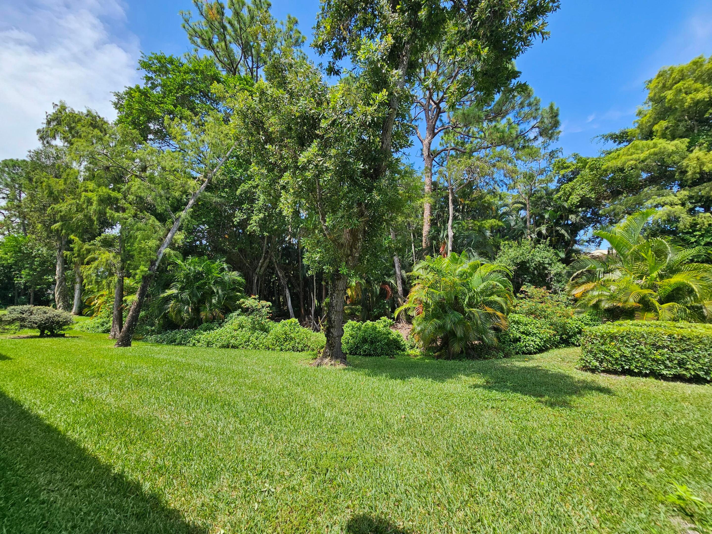 Boca Raton photo 3