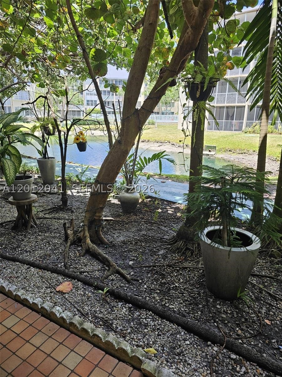 Miami photo 3