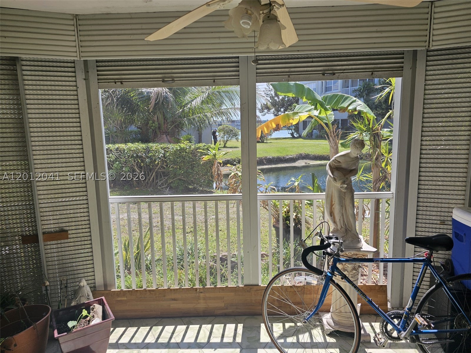 Miami photo 5