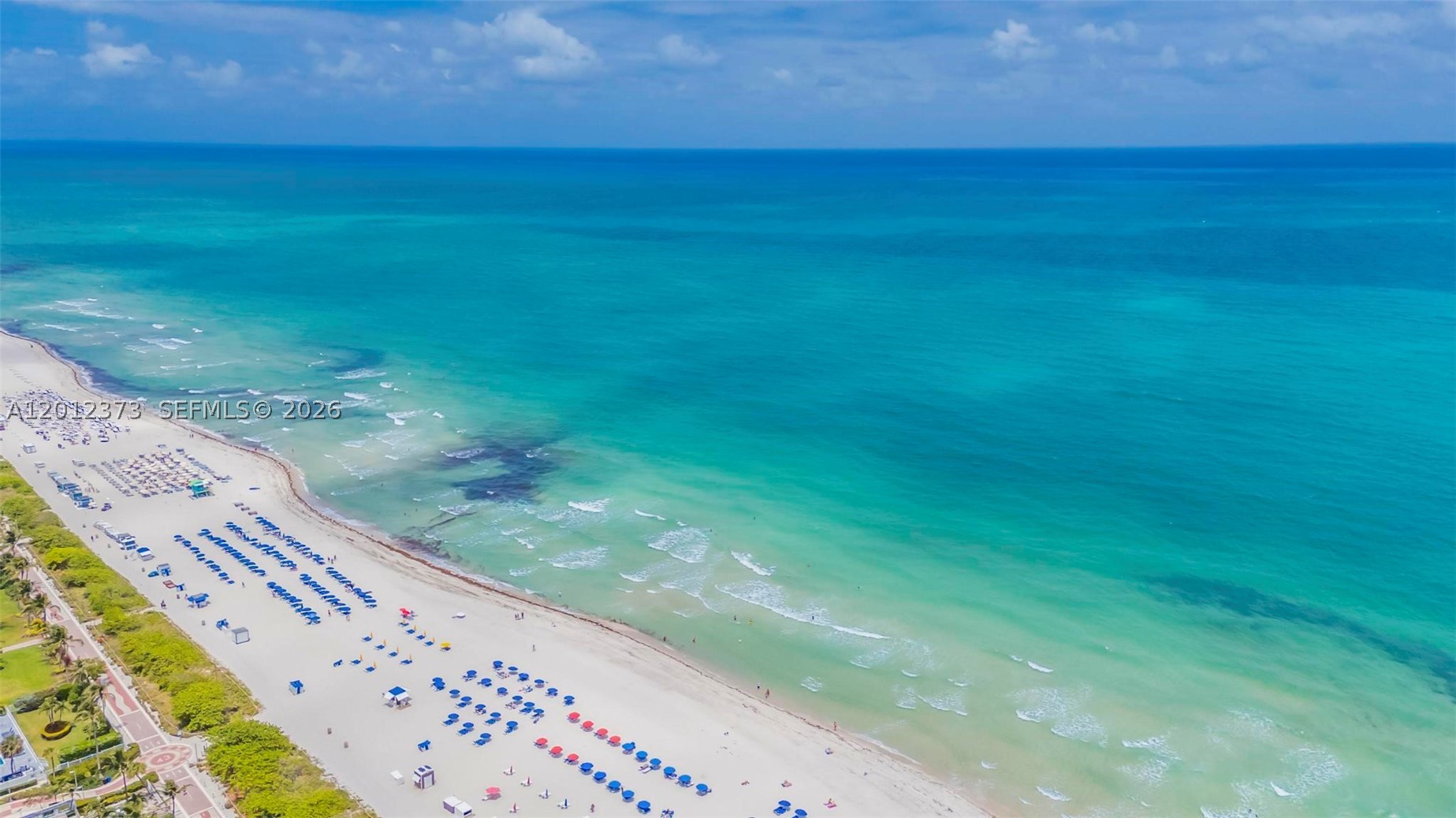 Miami Beach photo 2