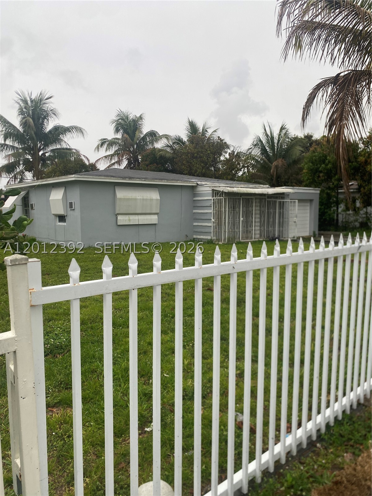 Miami photo 1
