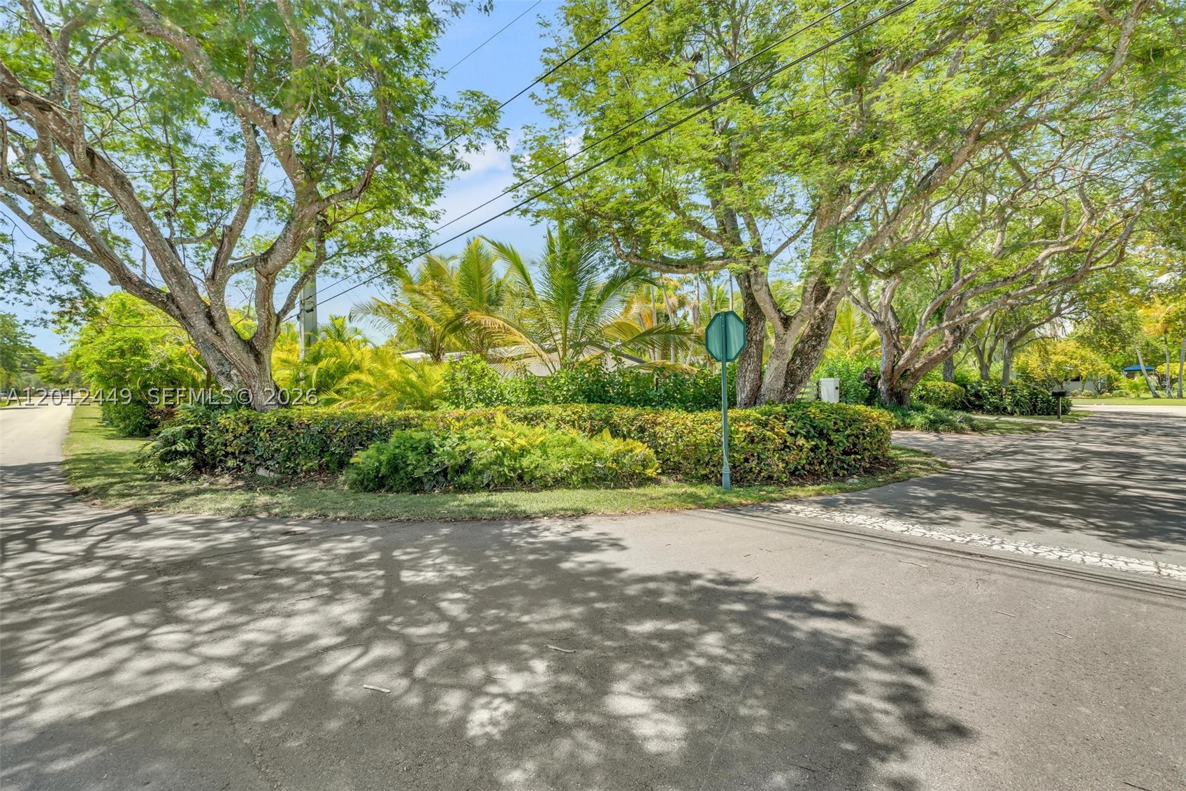 Pinecrest photo 3