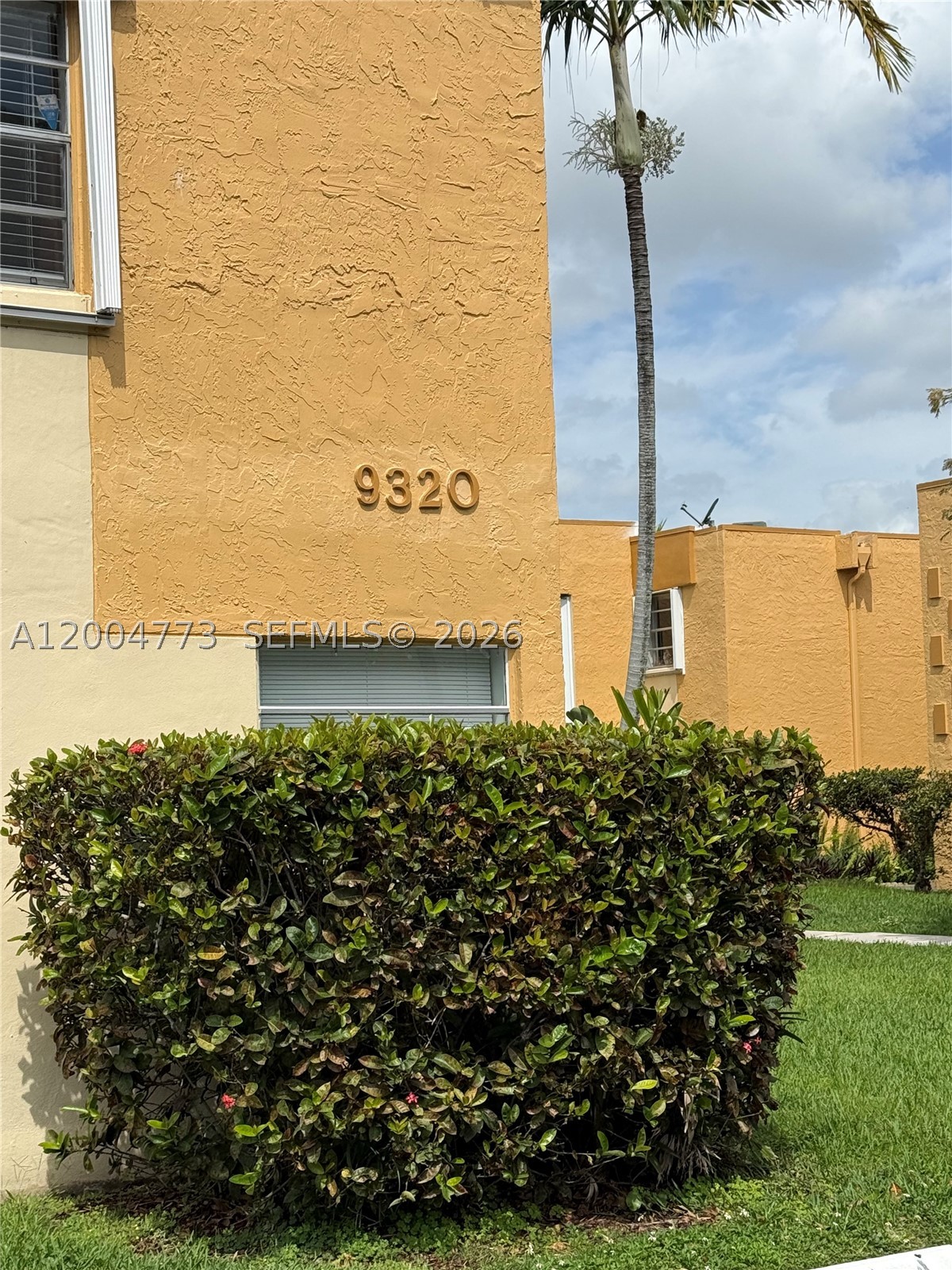 Miami photo 2