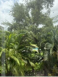 Boca Raton photo 2