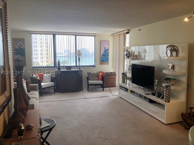 Miami photo 2