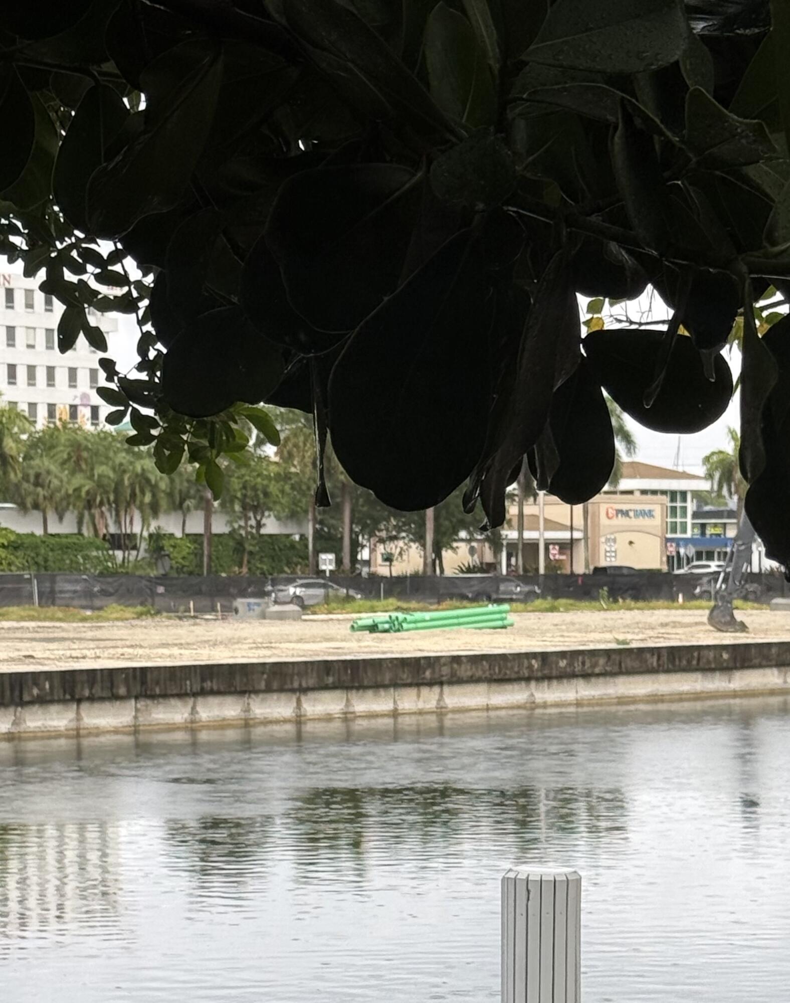 Fort Lauderdale photo 5