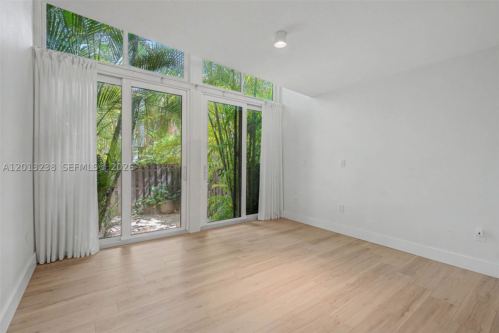 Miami photo 4