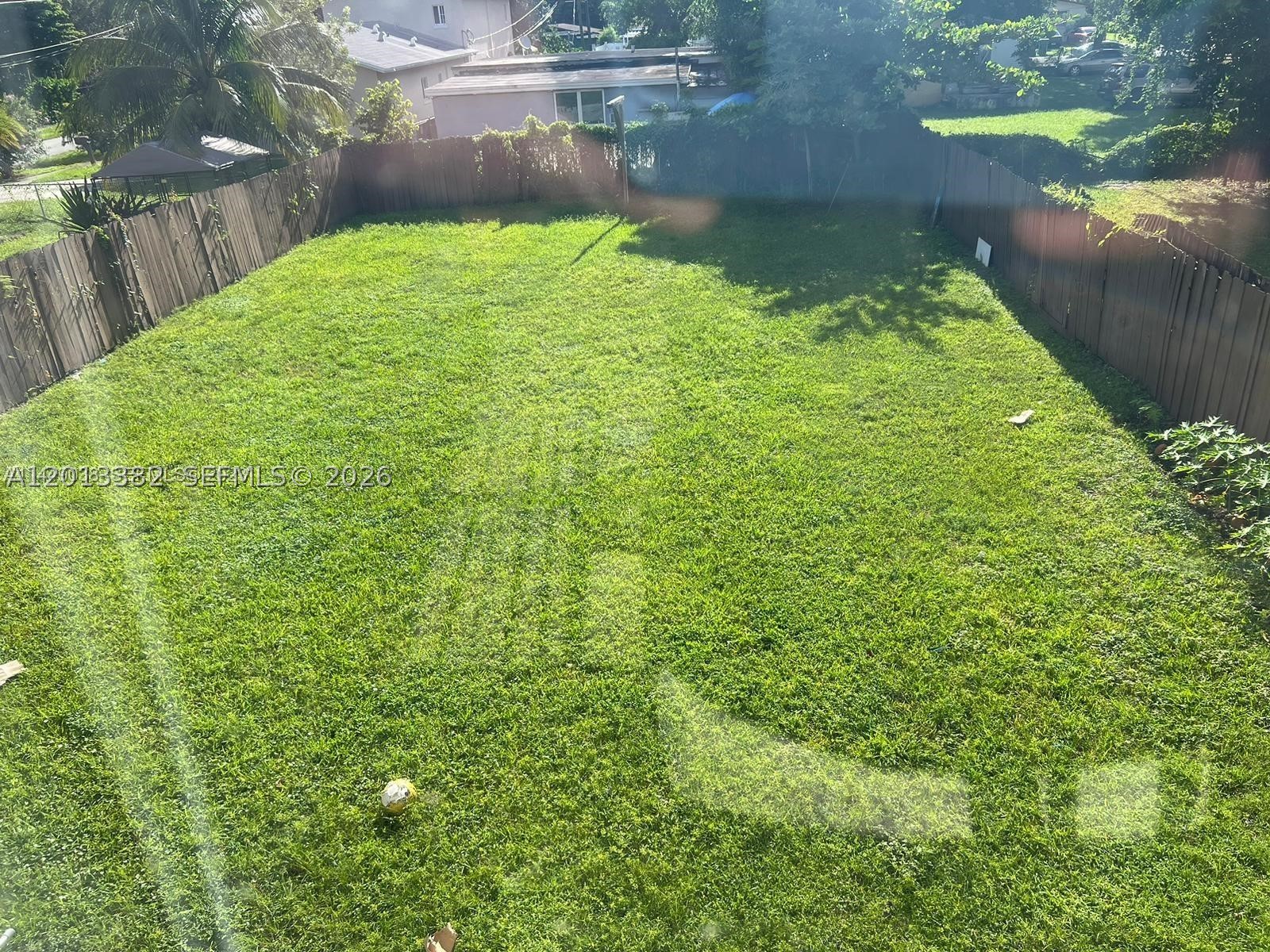 Miami photo 3