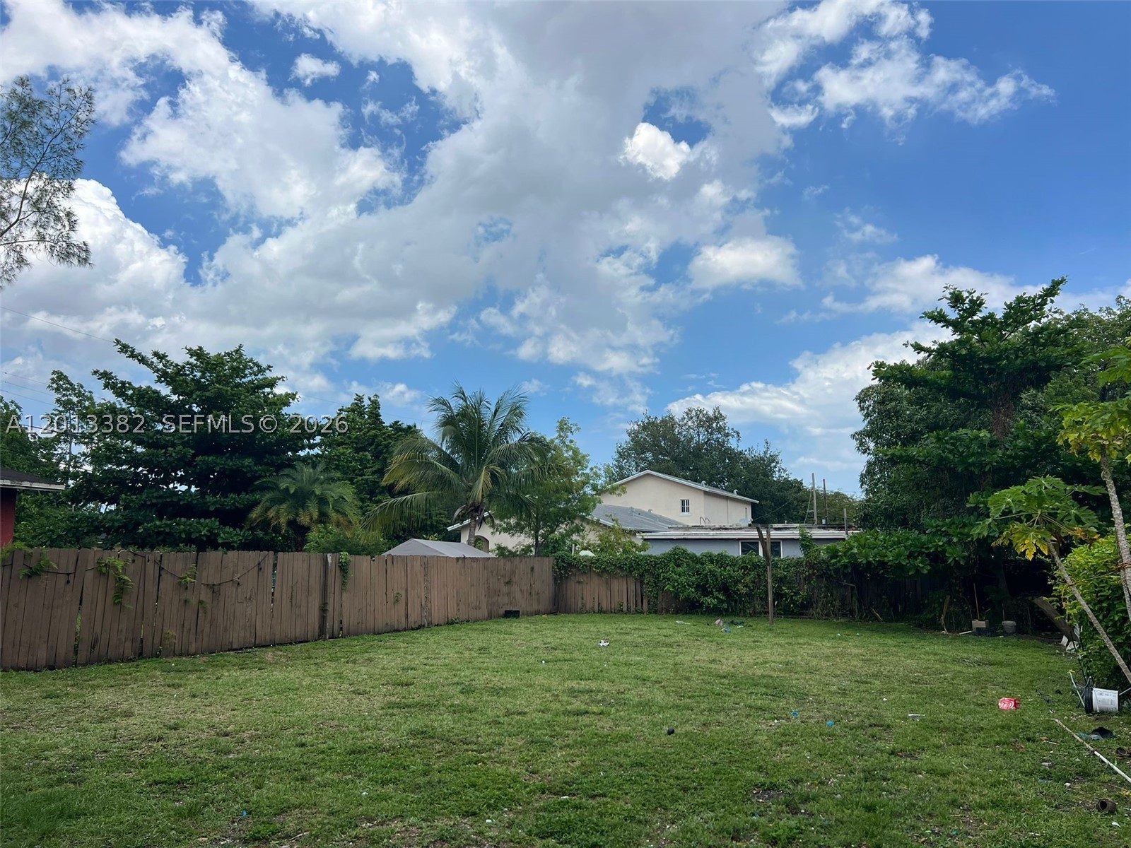 Miami photo 4