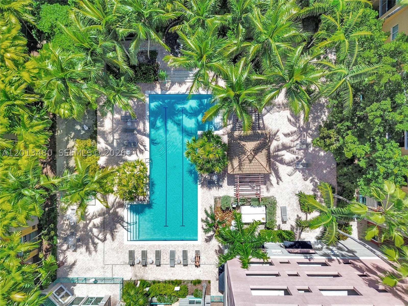 South Miami photo 4