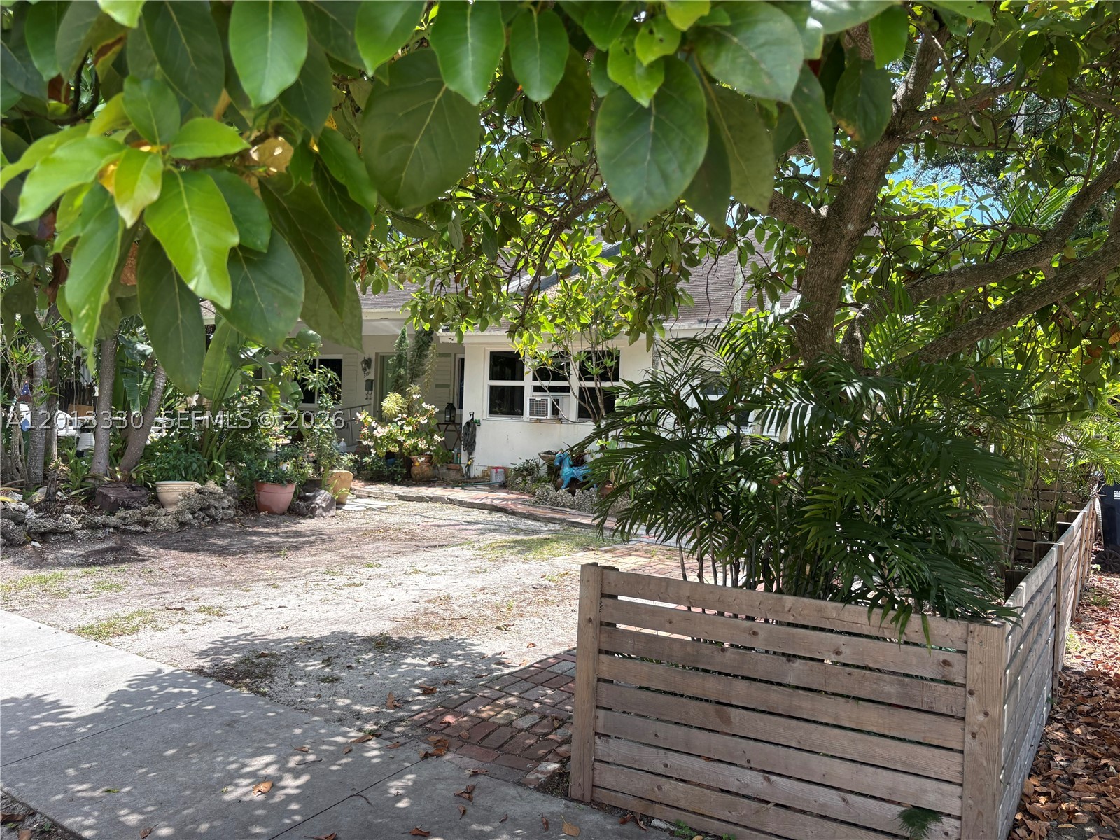 Miami photo 4