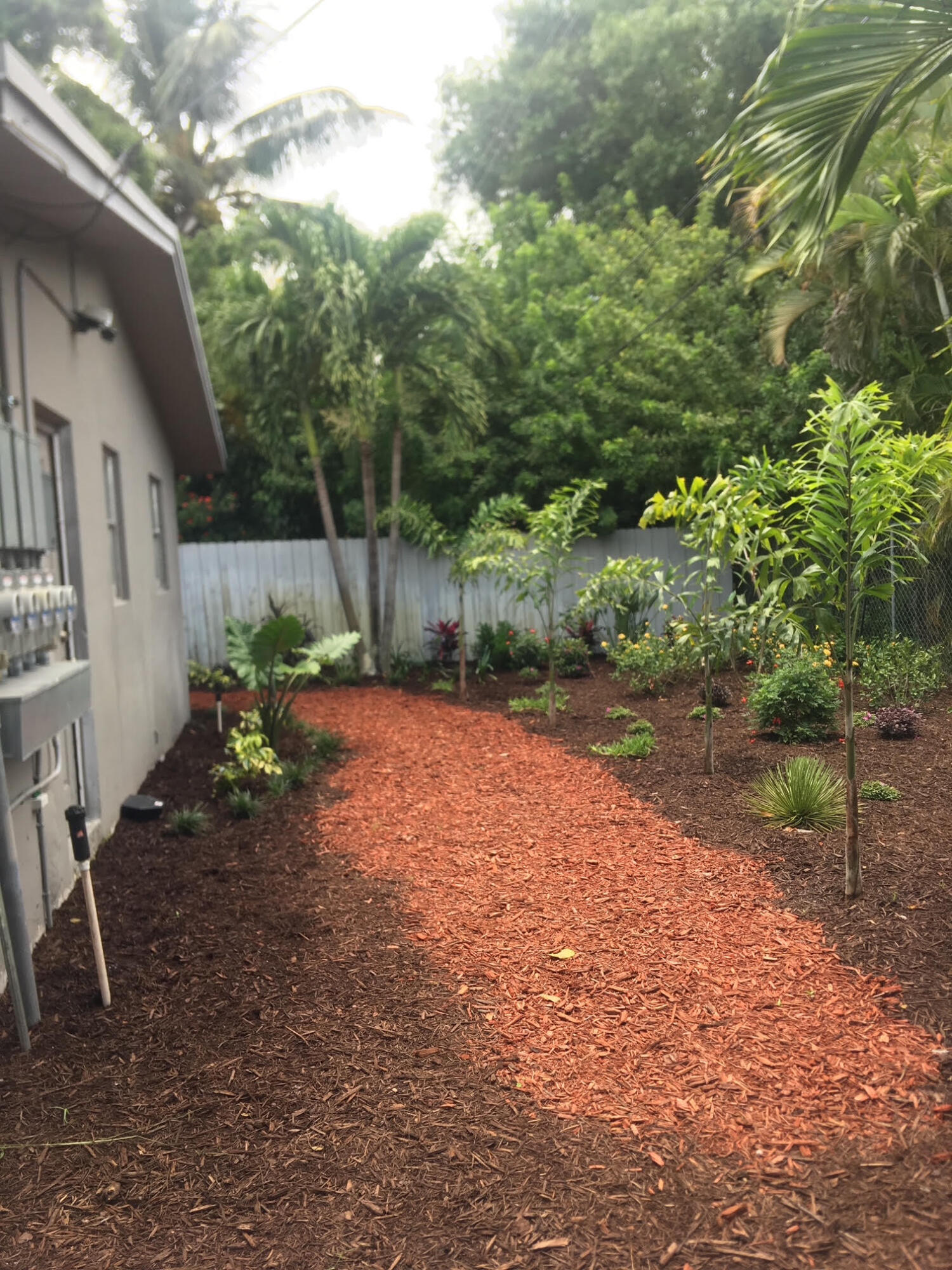 Fort Lauderdale photo 3