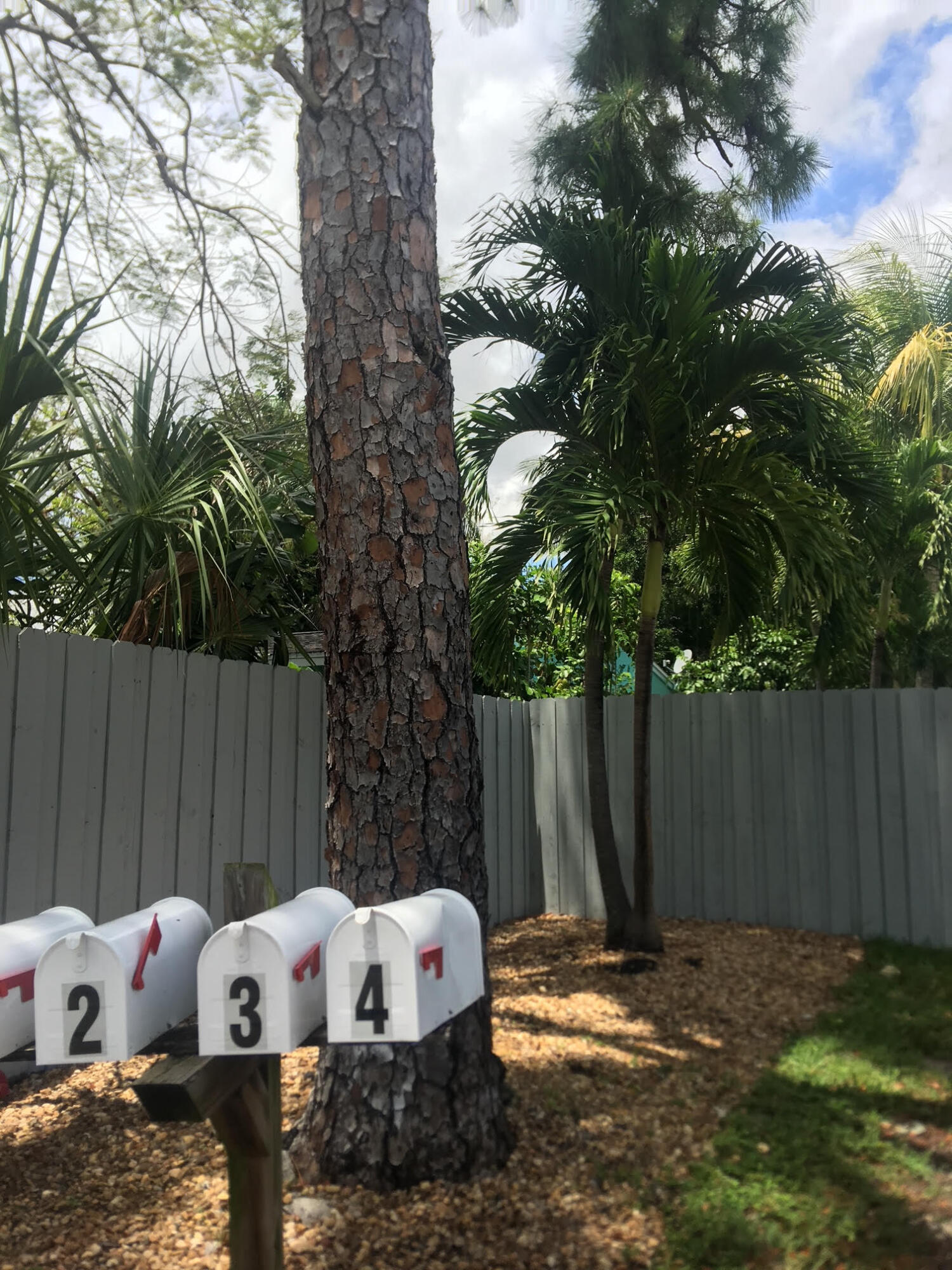 Fort Lauderdale photo 5