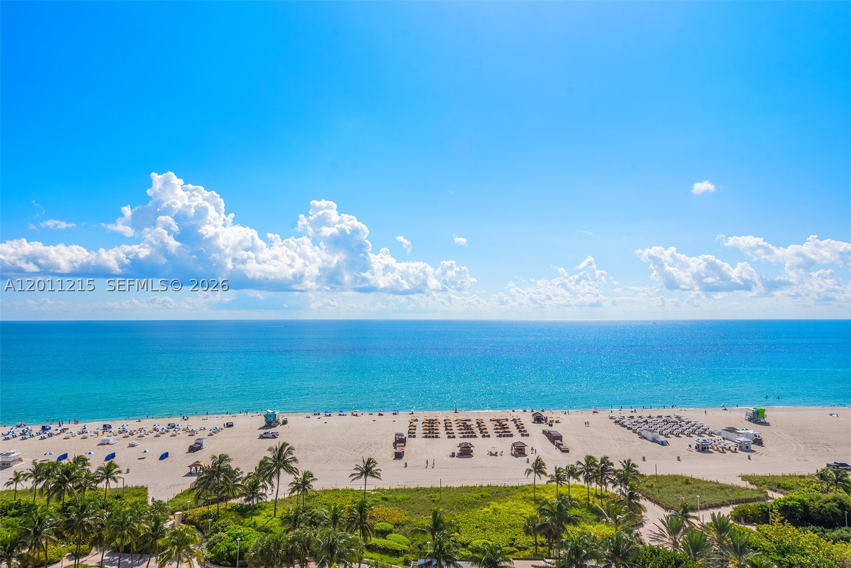 Miami Beach photo 5