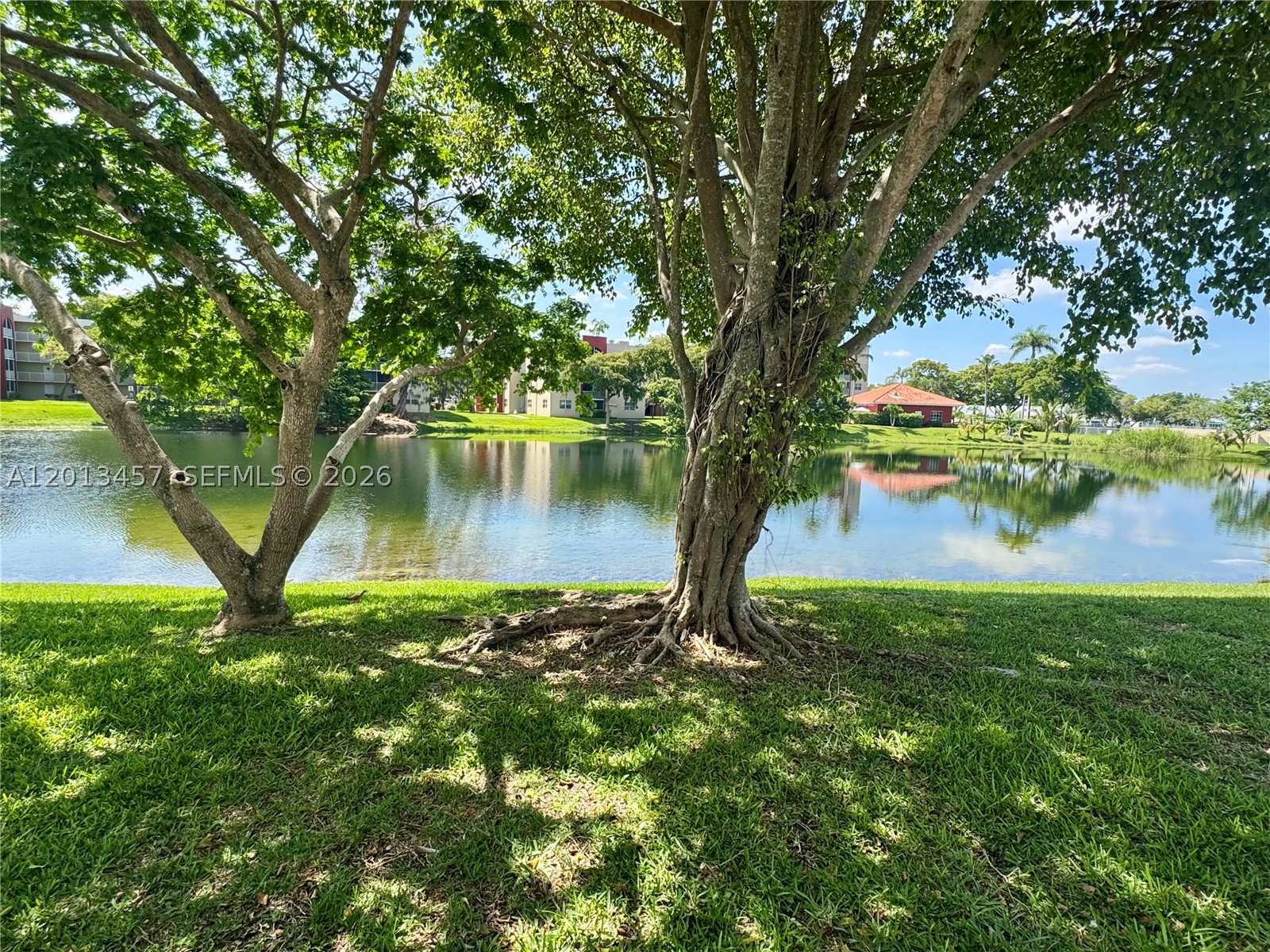 Miami photo 3