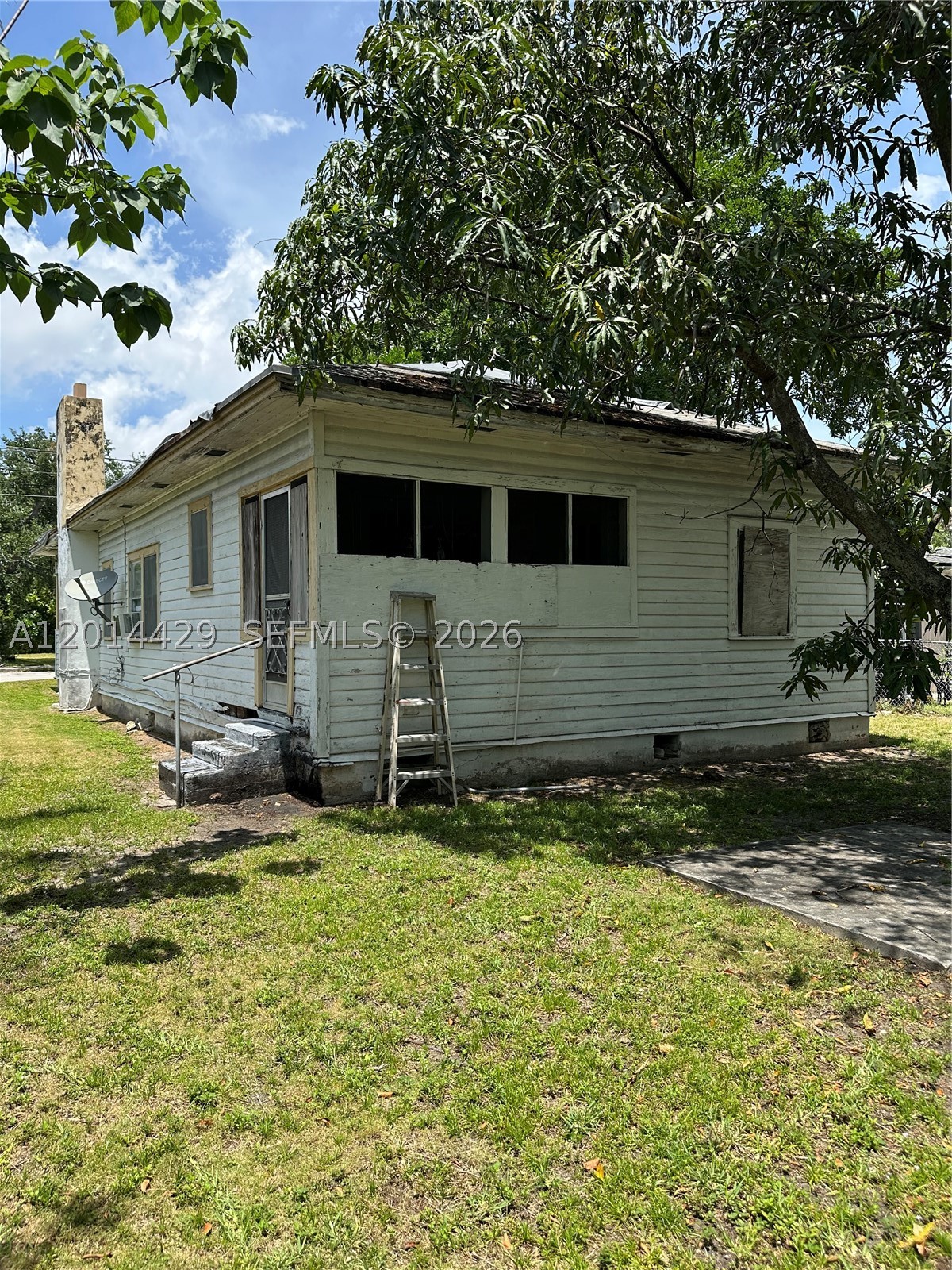 Miami photo 4