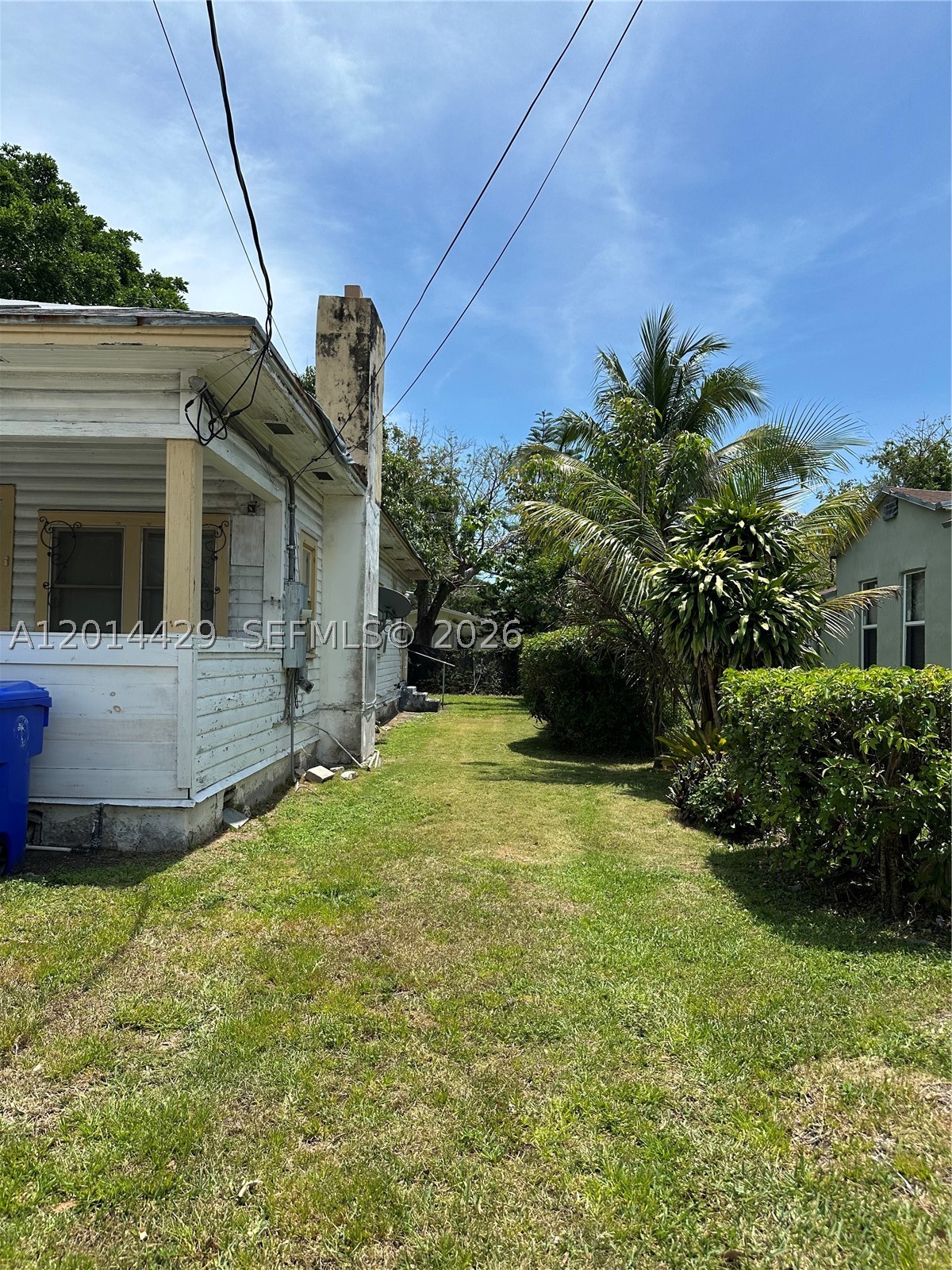 Miami photo 5