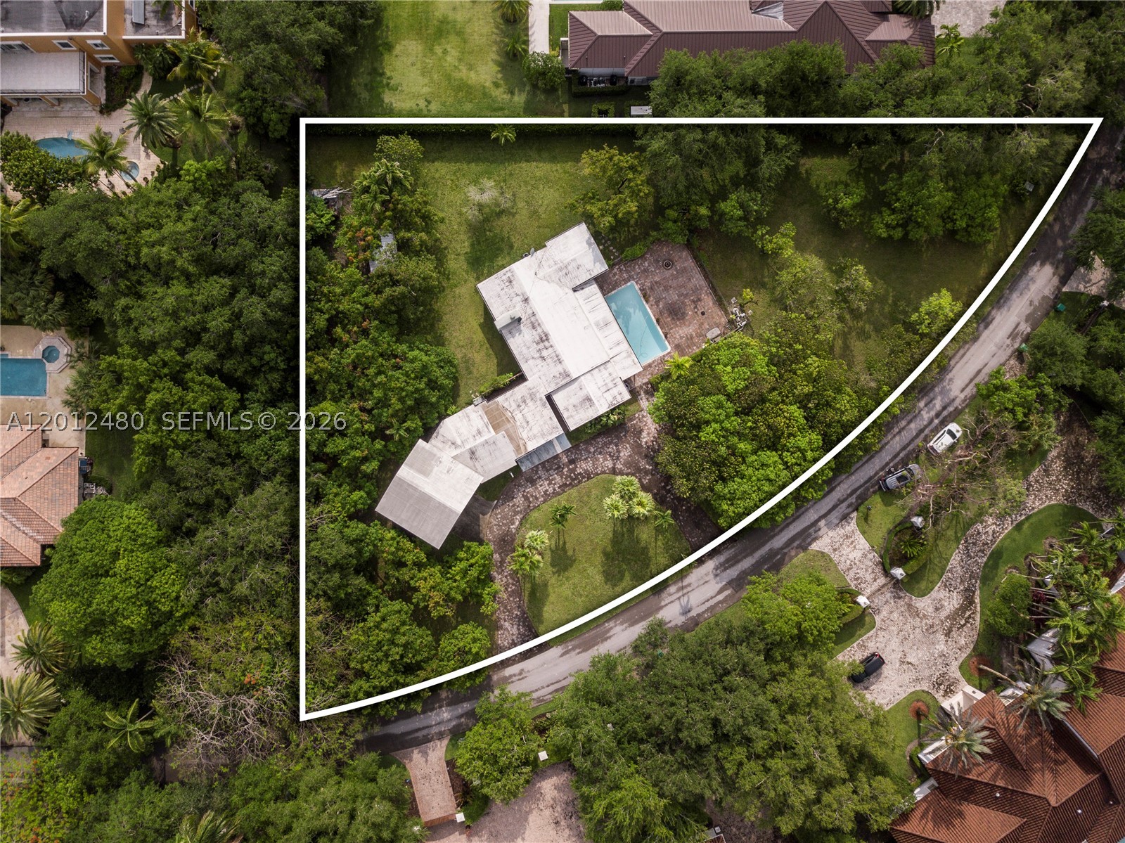 Pinecrest photo 3