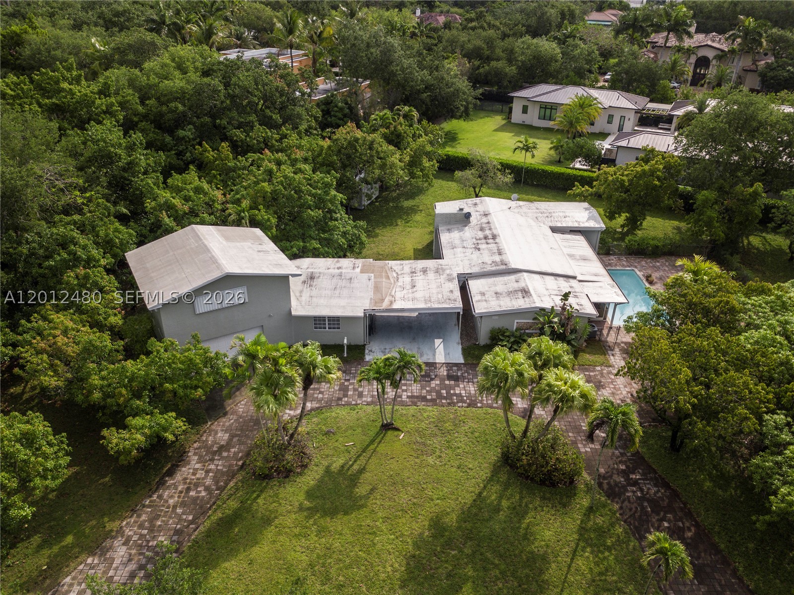 Pinecrest photo 4