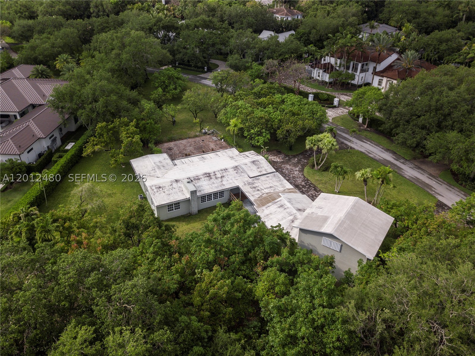 Pinecrest photo 5