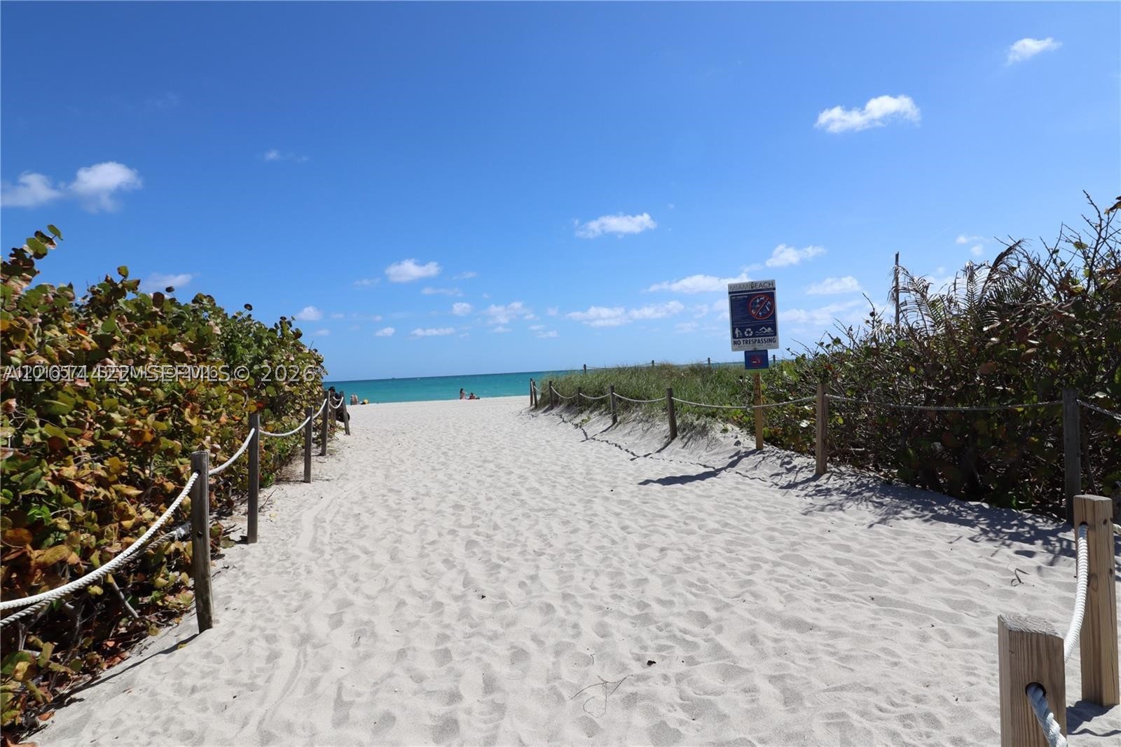 Miami Beach photo 5