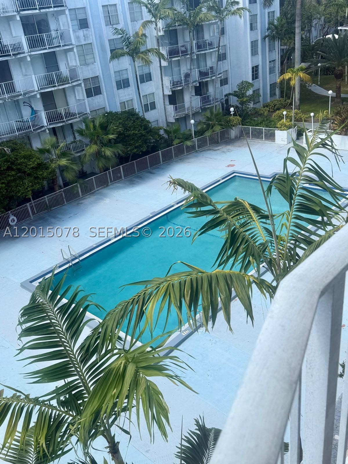 Miami photo 1