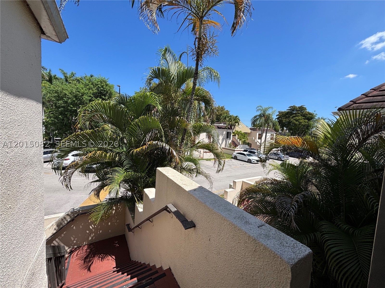 Miami photo 3