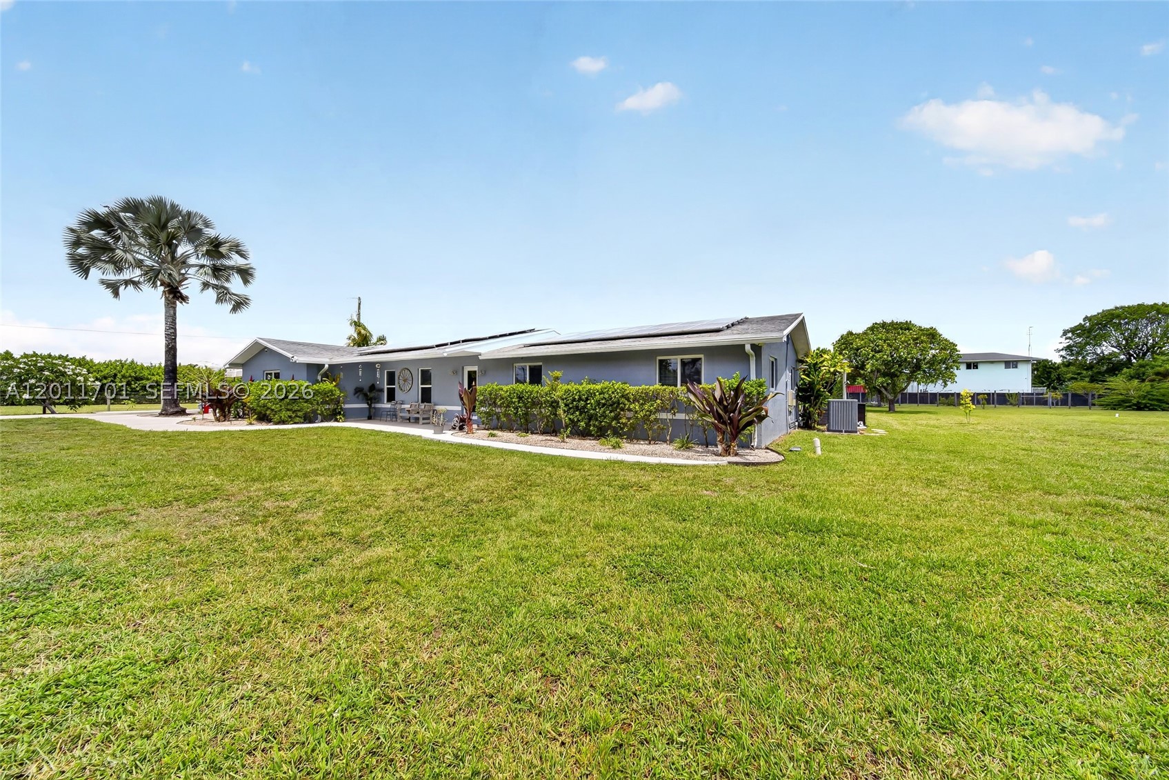 Miami photo 4