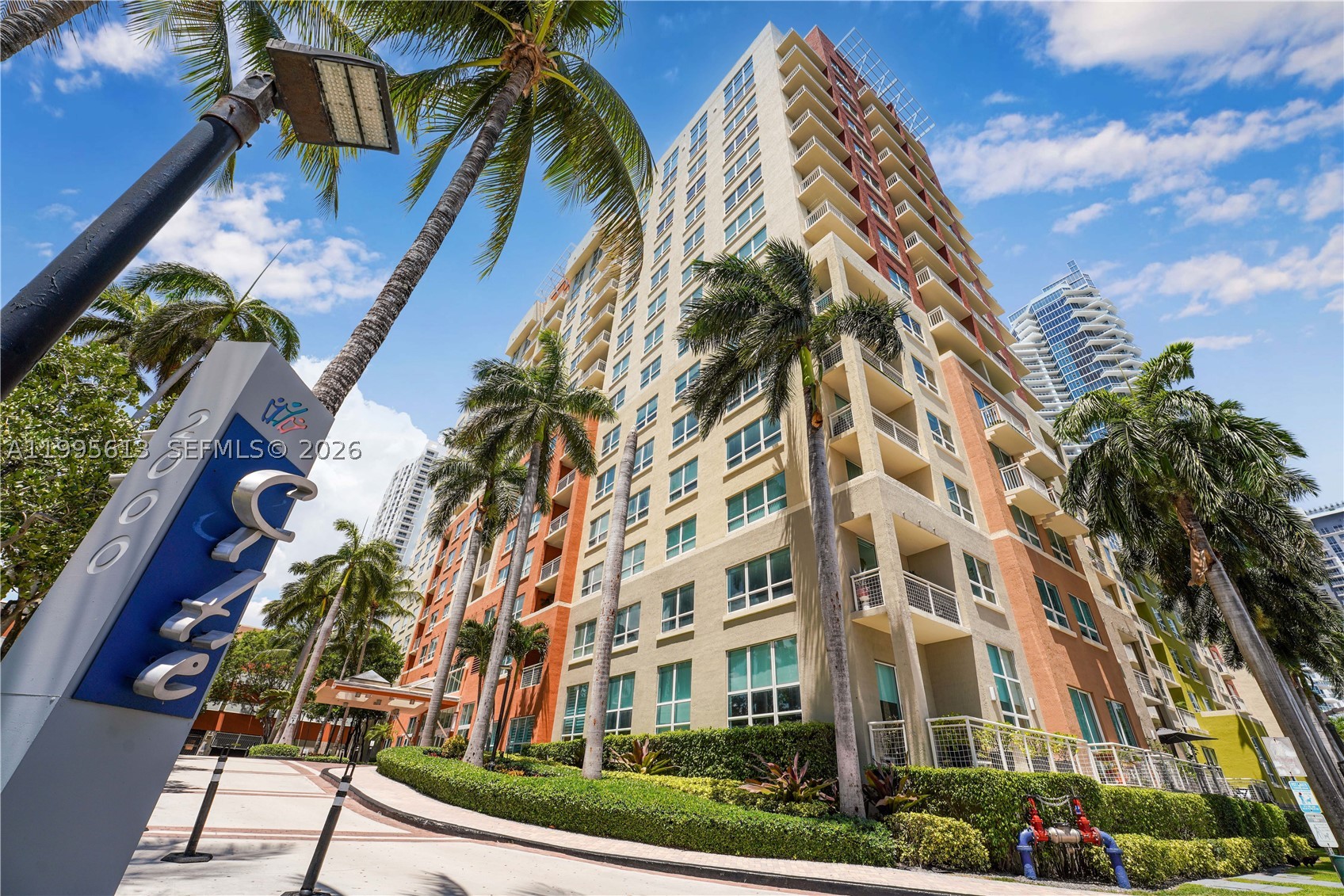 Miami photo 3