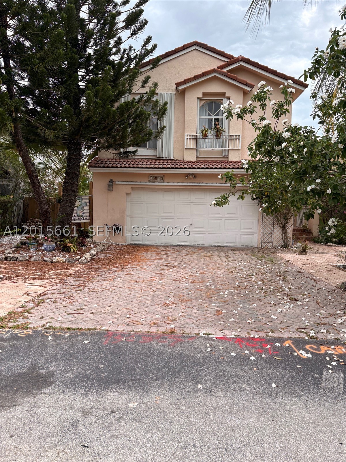 Miami photo 3
