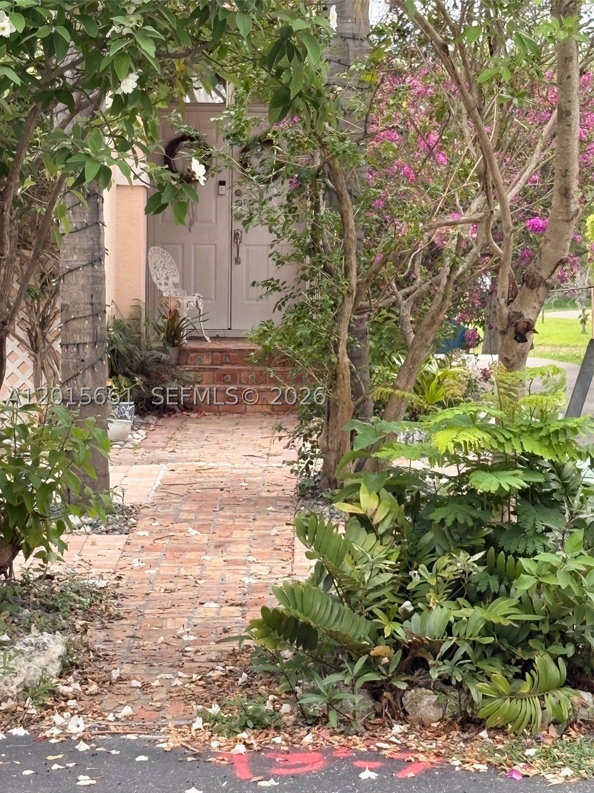 Miami photo 5
