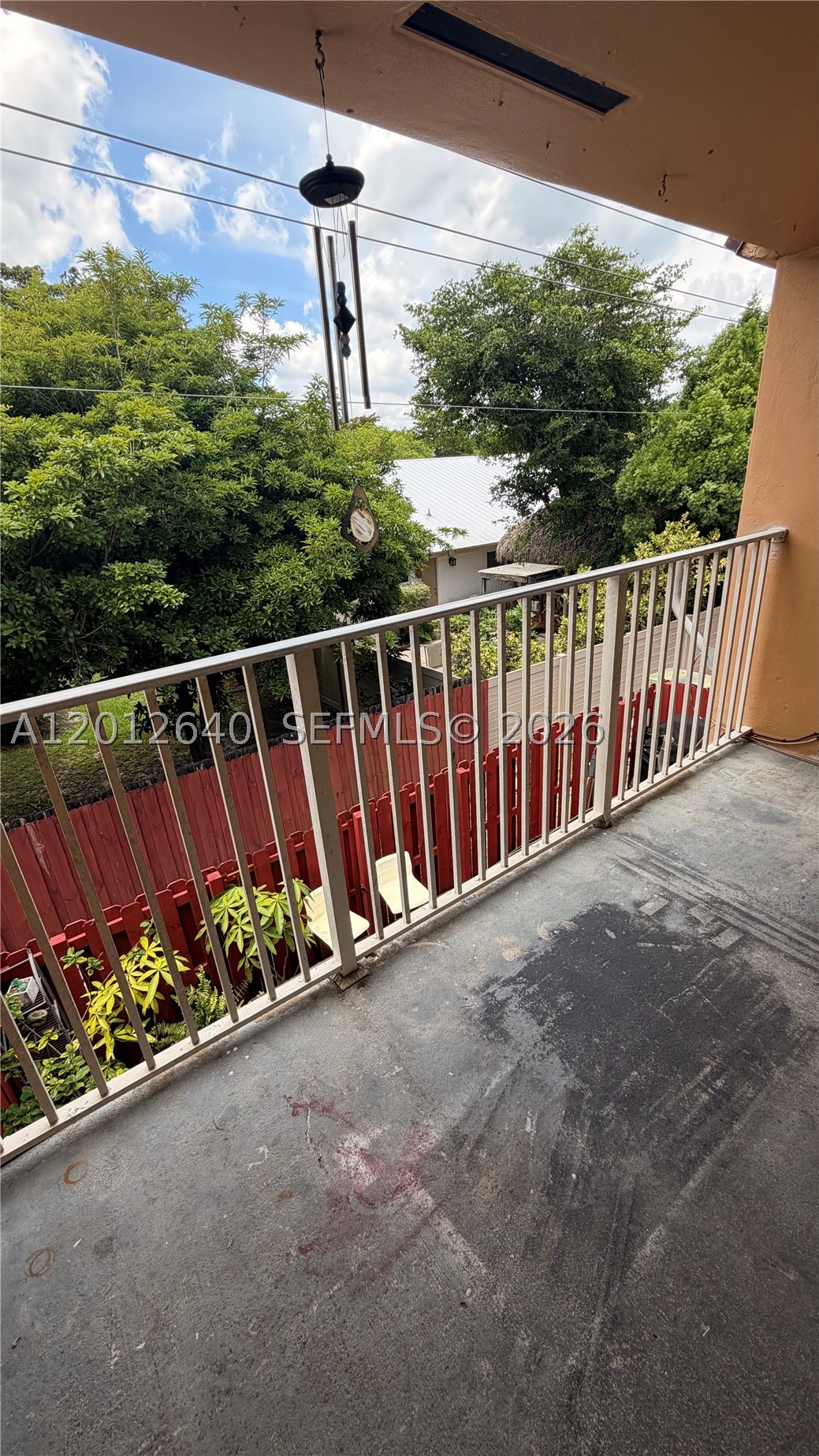 Miami photo 2