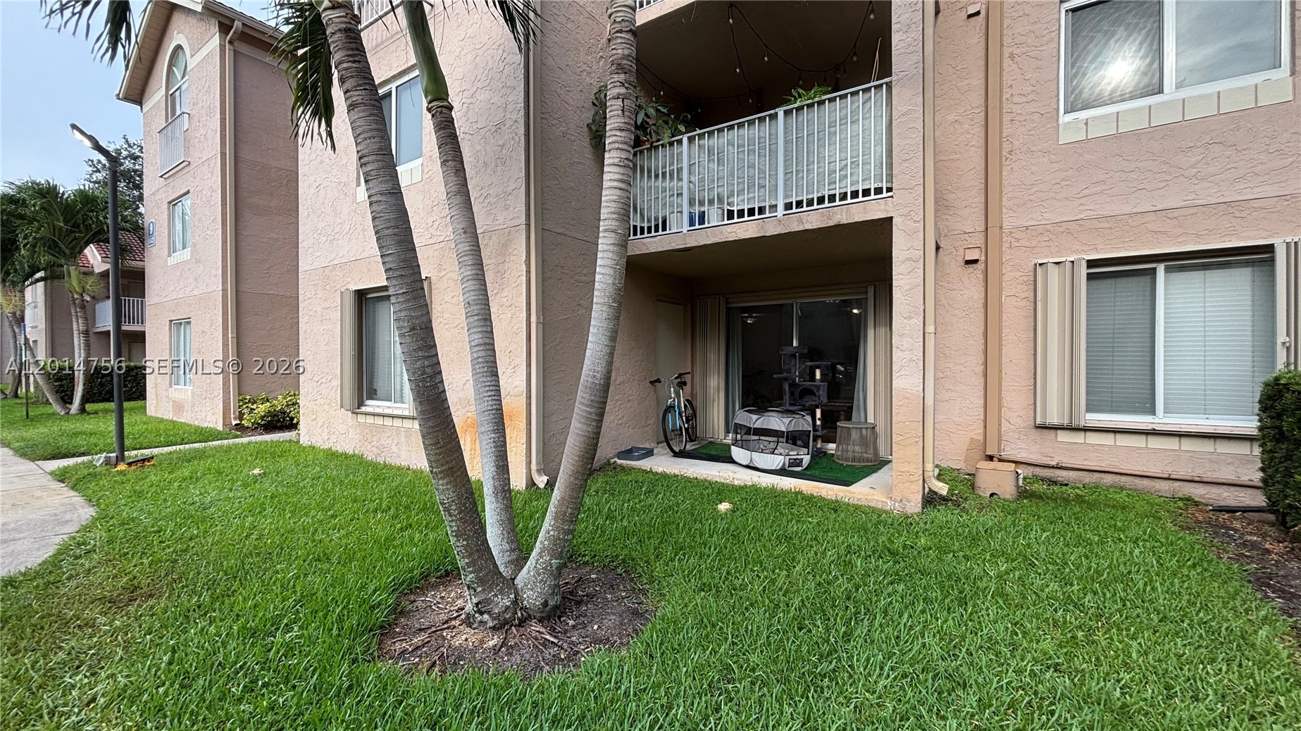 Miami photo 3