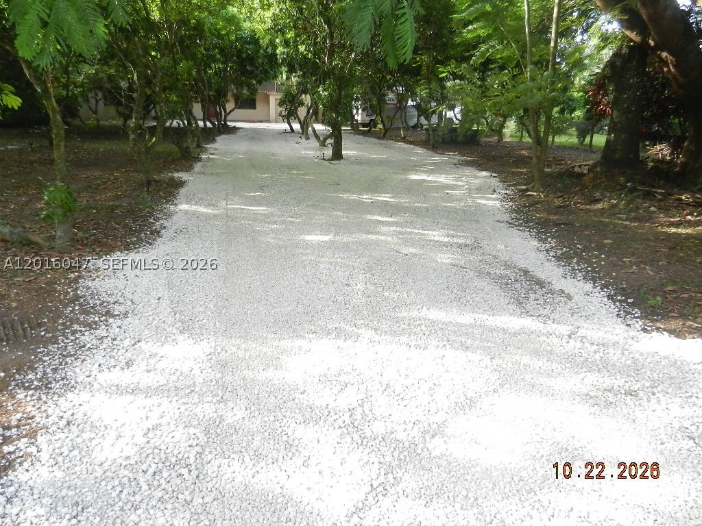 Homestead photo 5