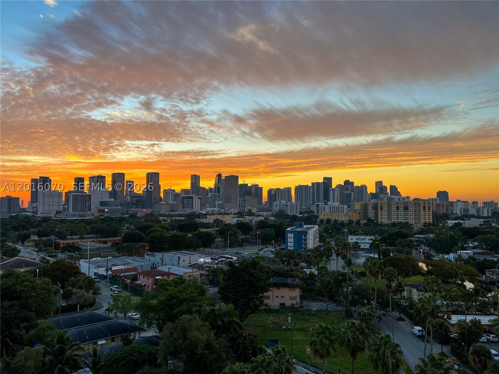 Miami photo 1